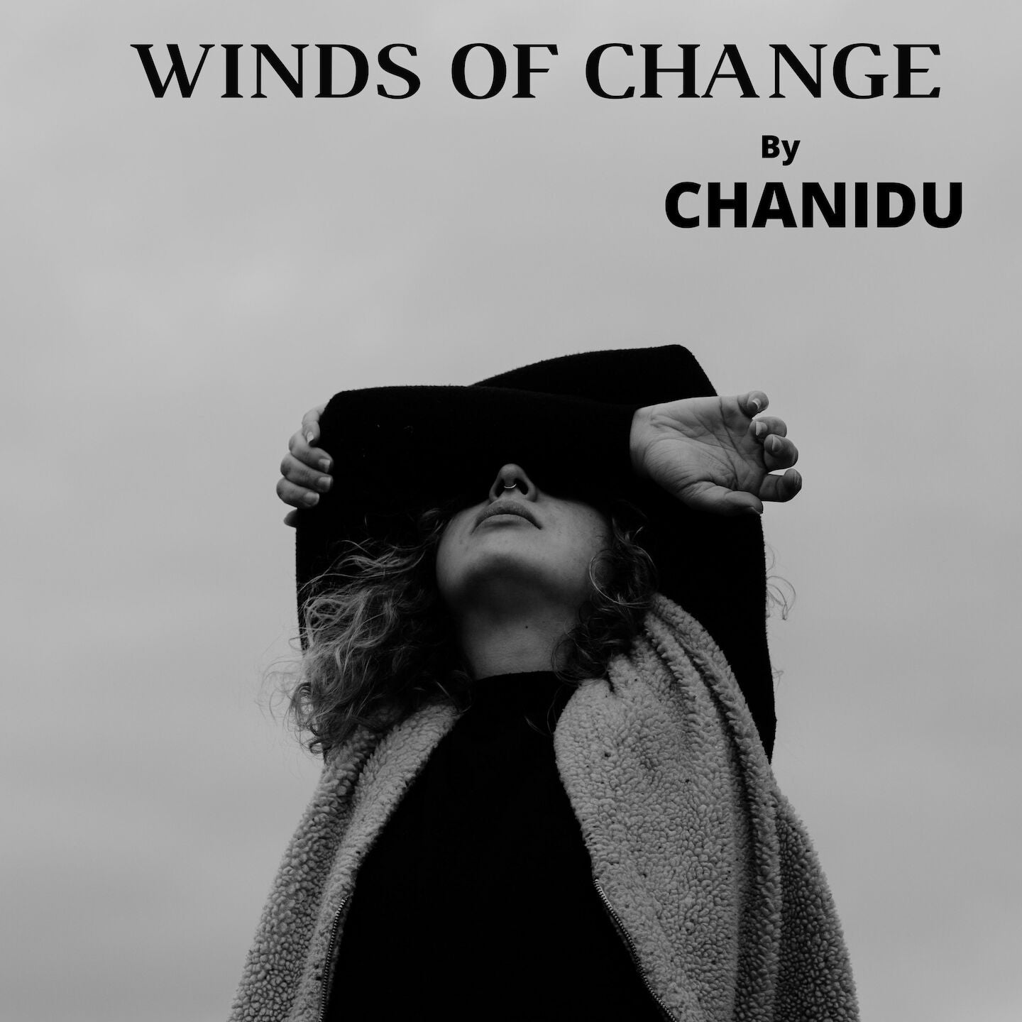 https://www.chanidumusic.com-winds-of-change-album